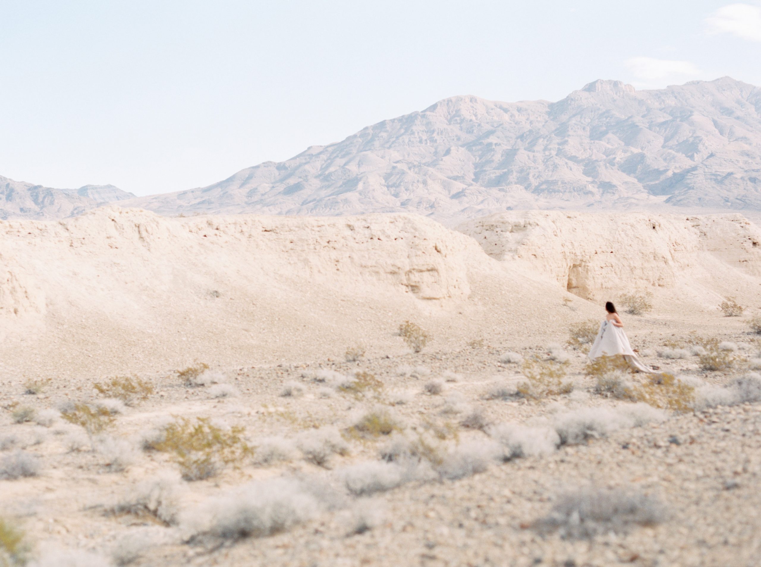 Las Vegas Elopement in the mountains