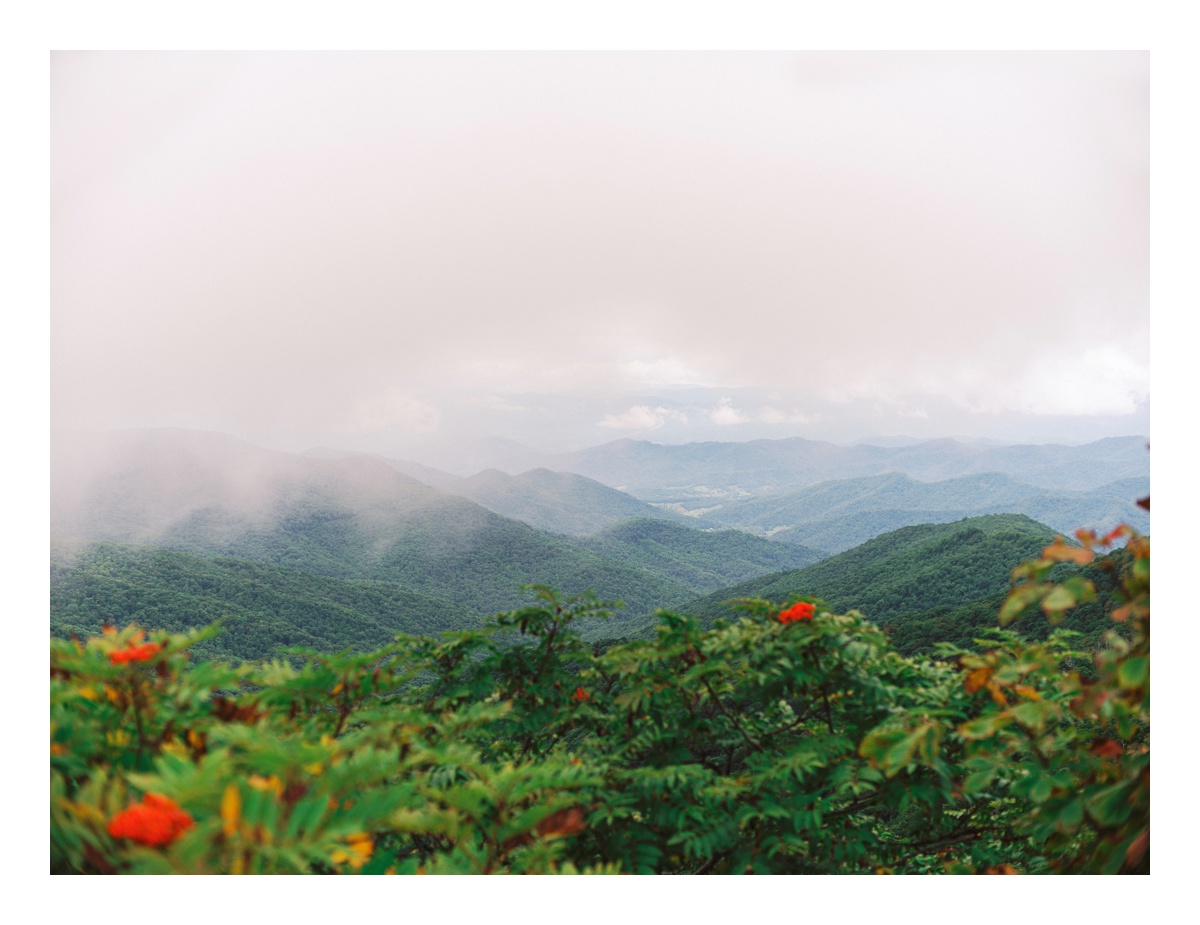 10 things to know before you elope. Asheville Elopement Photographer at in the Blueridege Mountains on the Blueridge Parkway. 